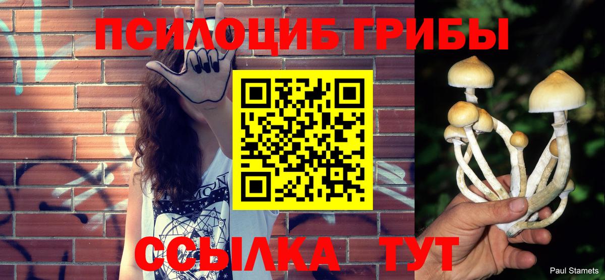 Псилоцибиновые грибы Psilocybe  Вход с VPN  цены   Красный Сулин 